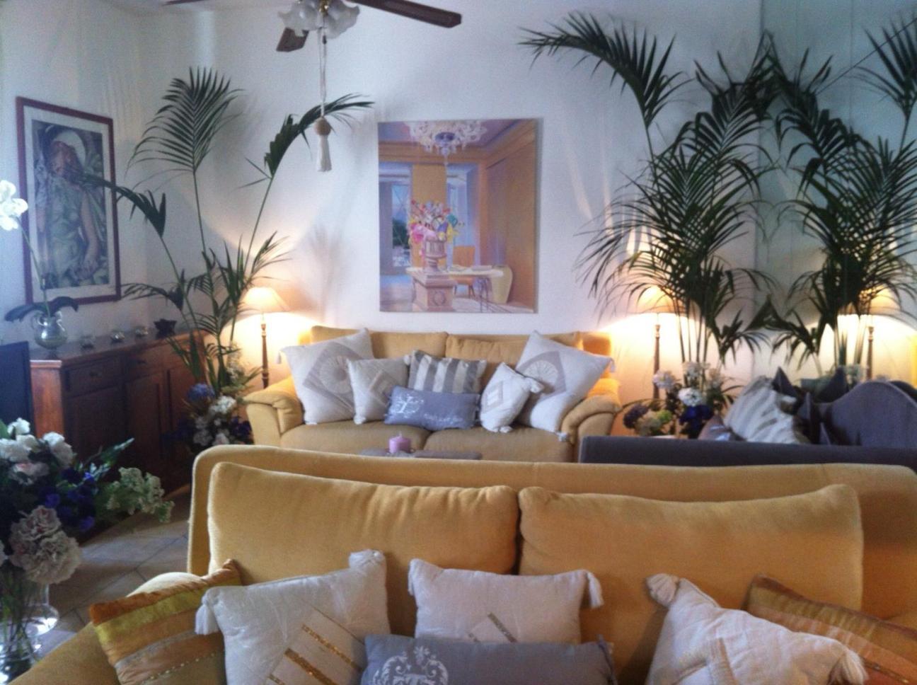 Apartment Vicolo Savelli Luxury